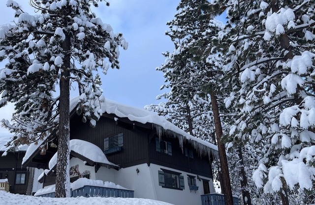 3338 pine hill road