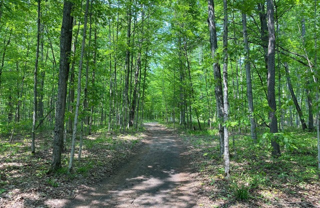 #4 Private Wooded Campsite for Tents or Small RV's