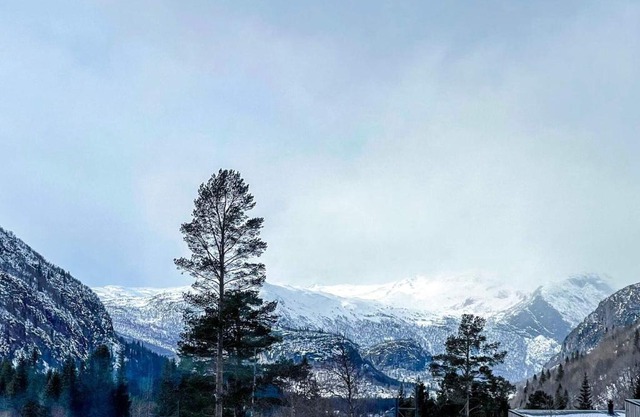 4 star holiday home in Hemsedal