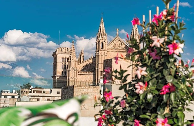 4-Star Hotel ∙ Purohotel Palma