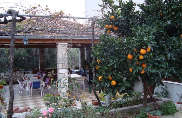 40 m² Apartment ∙ 1 bedroom ∙ 4 guests
