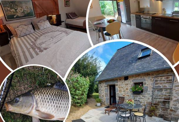 40 m² House ∙ 1 bedroom ∙ 3 guests