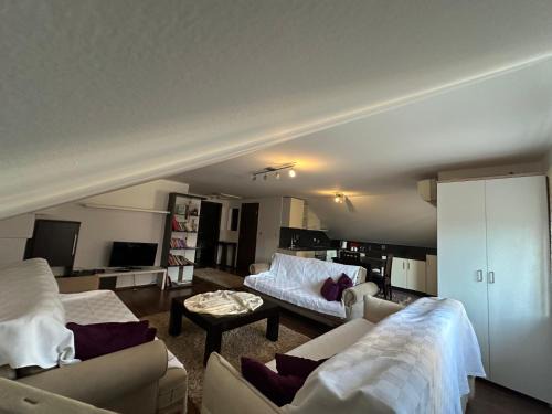 4F Attic Prishtina Central Apartment