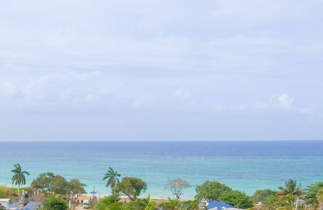 5 minutes walk to the beach! Family-friendly villa with private pool in Trelawny