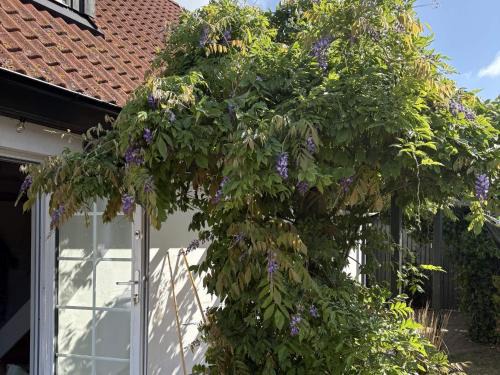 5 star holiday home in Löderup