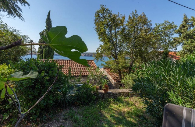 50 m² Apartment ∙ 2 bedrooms ∙ 5 guests