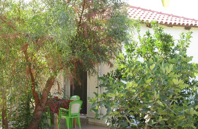 Calm Located Grove Close The Beach Holiday Ilia 