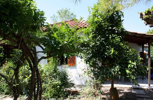 Calm Located Grove Close The Beach Holiday Ilia 