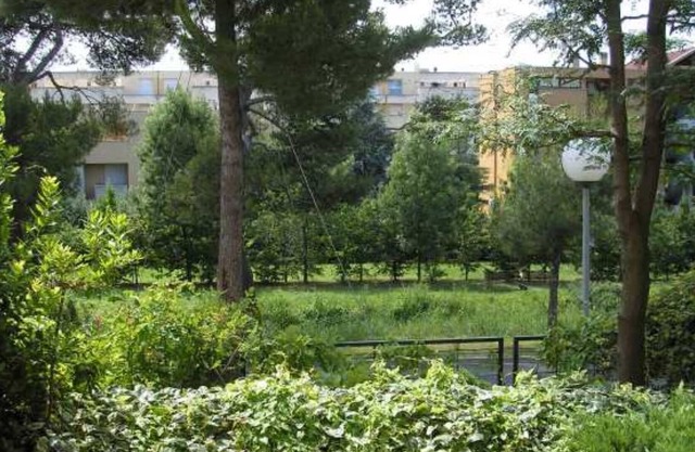 50 sqm apartment in Villino with bicycles, facing the park, bus stop