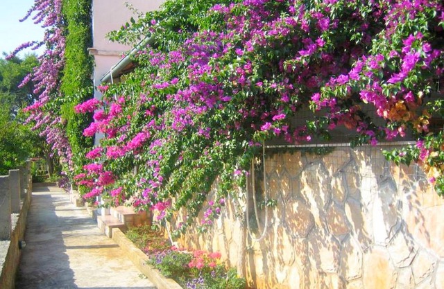 55 m² Apartment ∙ 2 bedrooms ∙ 5 guests