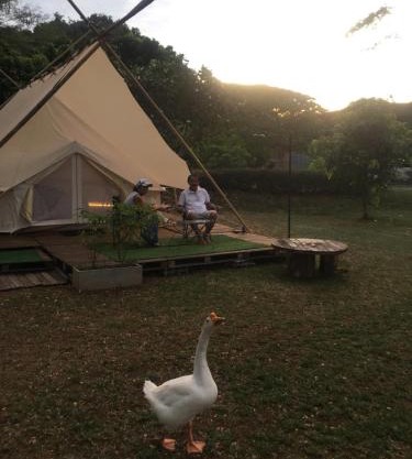 5m Belle Tent for 4 people