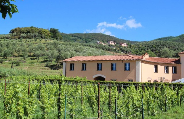 65 m² House ∙ 1 bedroom ∙ 4 guests