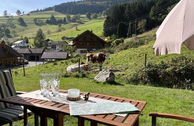 Sonnenblick Todtnau 