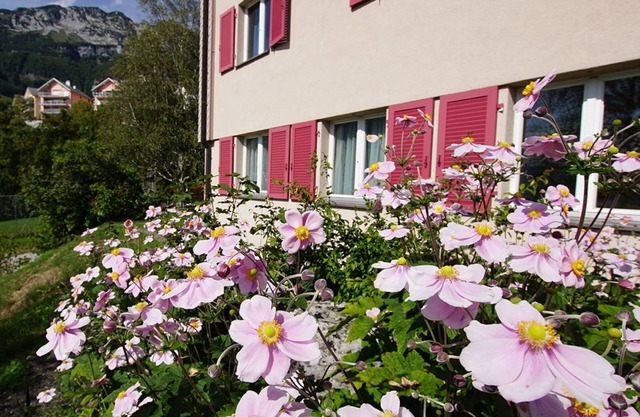 70 m² Apartment ∙ 2 bedrooms ∙ 4 guests