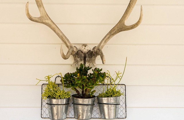 A bespoke oasis in Russell Village
