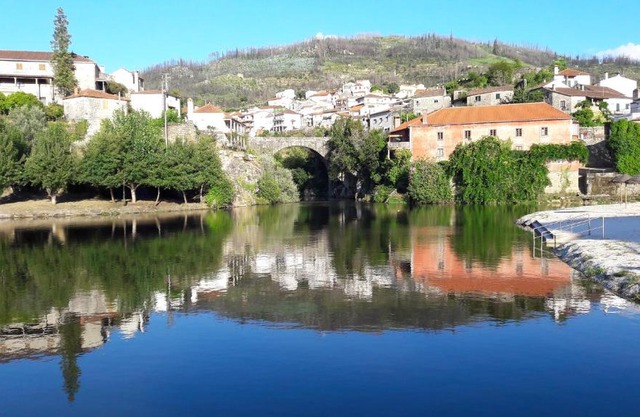 A Look into the River
