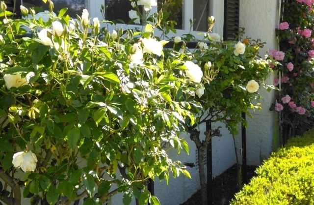 A modernised cottage full of charm and ambience