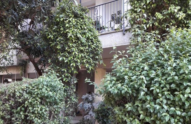 A pleasant and comfortable residential neighborhood
