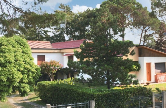 A quiet green escape close to urban life