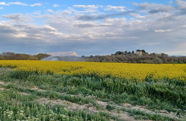 A Stay at Innisfree, Our Provençal 'Haiku Home'.