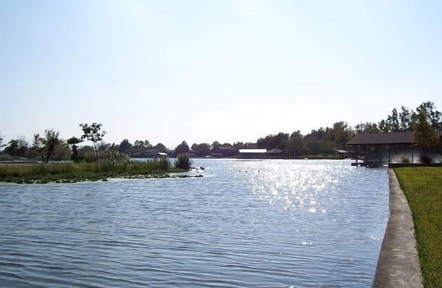 A Touch of Texas. Stunning Lakehouse on three lots. Huge yard and Patio Deck