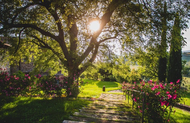 A typical Umbrian Farm with magical views across Lake Trasimeno