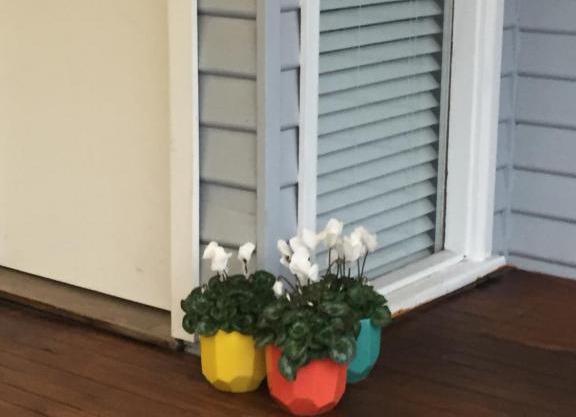 ABODE ON ADENEY FREE WIFI PET FRIENDLY