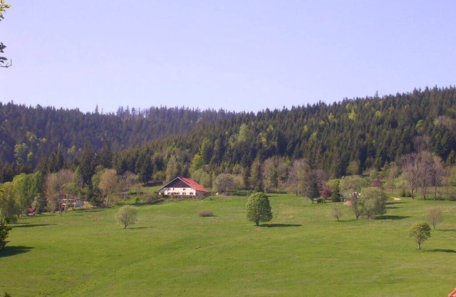 Accommodation for 12 people in renovated farmhouse Hautes Vosges very natural