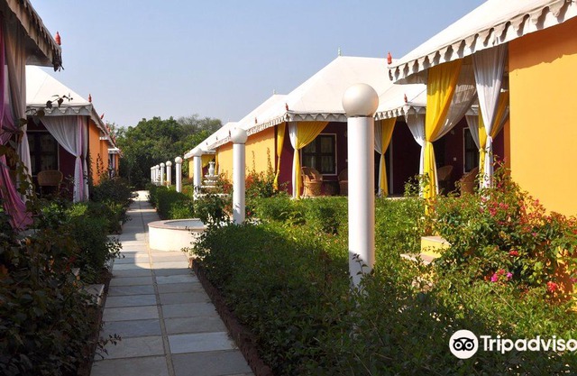 Achrol Bagh