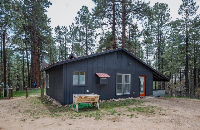 Adventure Basecamp Cabin is Near Lakes, Wooded Setting, Small Dog OK