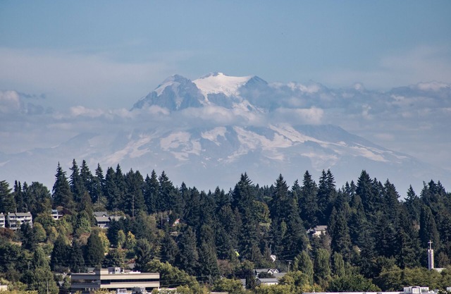 AERIE VIEW Classic character close to downtown w view of Mt Rainier & Budd inlet