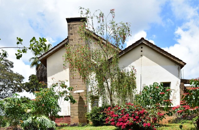 Afrique Paradise Hotel