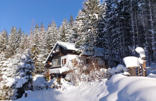 Alm-Ferienhaus Gaisegg am Klippitztörl