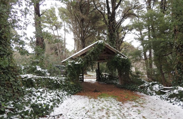 Aldea del bosque