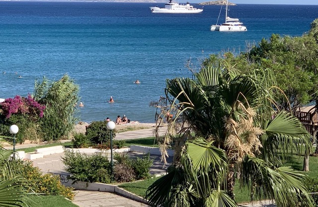 Alex's place. Flat costal.