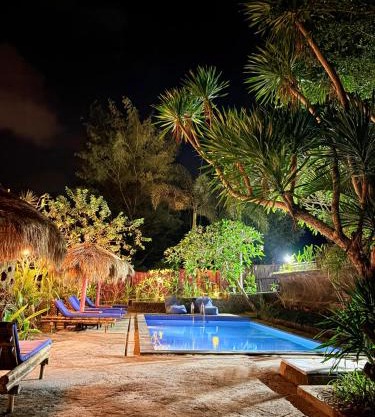 Alfa Kuta