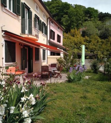 Alle rose barcolane