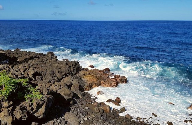 Aloha Ohia Hale