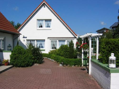 Maisfeld 