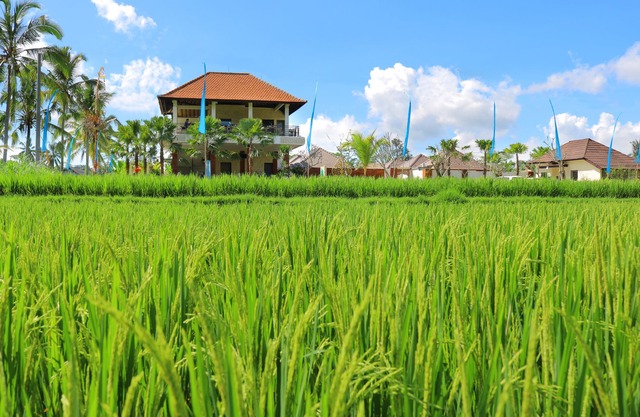 Amatara Abirama Villas