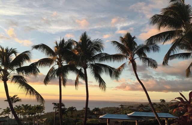 Ocean Views 