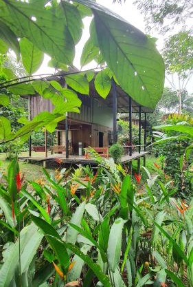 Amazona Lodge