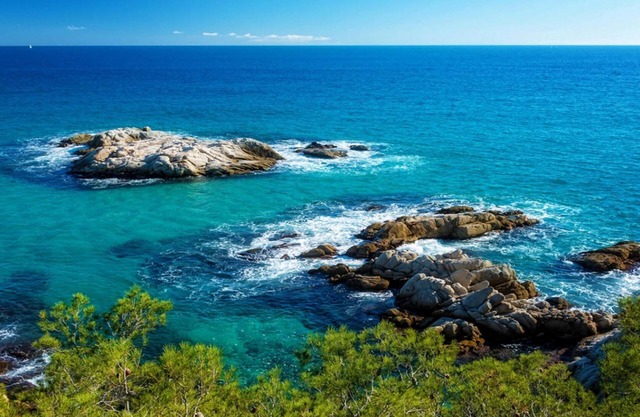 An oasis for up to 26 nature loving guests!