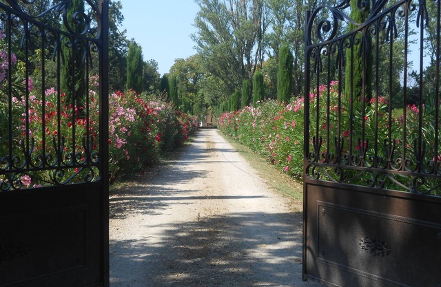An old farmhouse, the MAS VALERIAN, fully renovated on a 8 hectares property