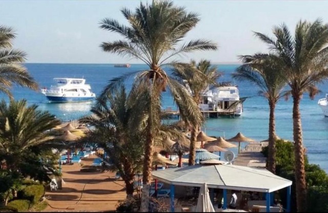 Anemone beach resort