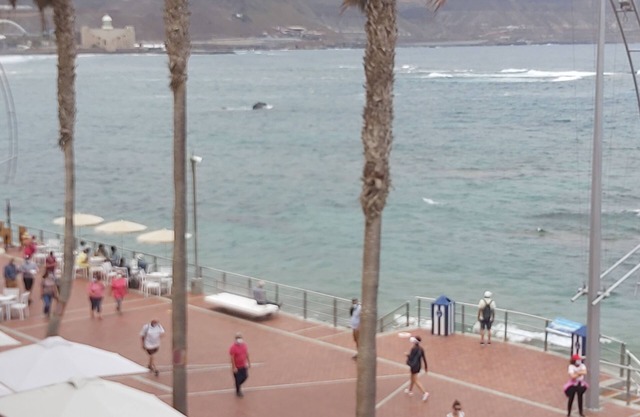 Apartamento Frente al mar 308