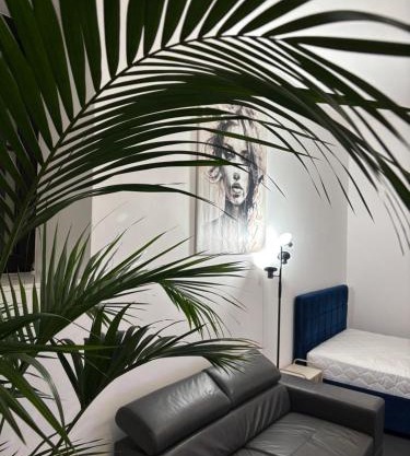 Apartament Łuczkowskiego z widokiem na Studnię 5