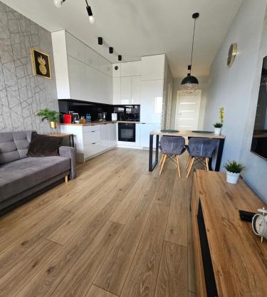 Apartament Ventus Business and Living 46