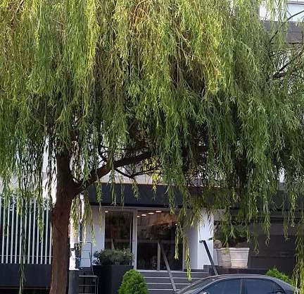 Apartamento Lince - San Isidro