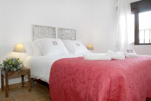 Apartamentos San Fernando 